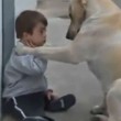 Sweet Mama Dog Interacting with a Beautiful Child with Down Syndrome. From Jim Stenson..mp4_20150920_194414.312